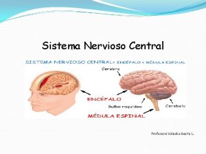 Sistema Nervioso Central Profesora Valeska Gaete L El