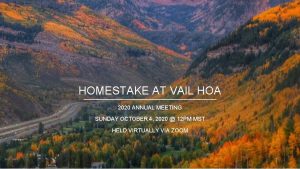 HOMESTAKE AT VAIL HOA 2020 ANNUAL MEETING SUNDAY