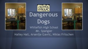 Dangerous Dogs Whitefish High School Mr Spangler Hailey