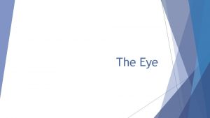 The Eye Human Eye Front of the eye