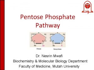 Pentose Phosphate Pathway Dr Nesrin Mwafi Biochemistry Molecular