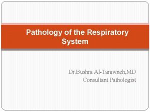 Pathology of the Respiratory System Dr Bushra AlTarawneh