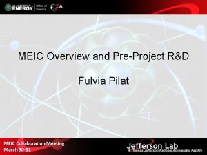 MEIC Overview and PreProject RD Fulvia Pilat MEIC