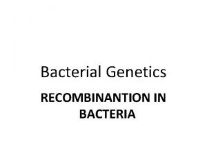 Bacterial Genetics RECOMBINANTION IN BACTERIA Background Concepts Structure