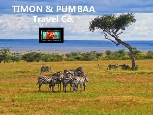 TIMON PUMBAA Travel Co Location Features Large expanse