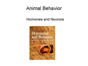 Animal Behavior Hormones and Neurons What are hormones