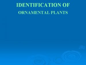 IDENTIFICATION OF ORNAMENTAL PLANTS Important aquarium plants 1