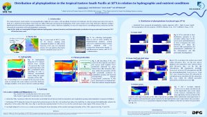 Distribution of phytoplankton in the tropical Eastern South