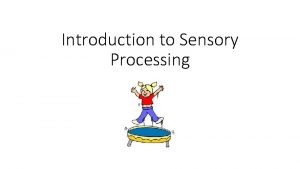 Introduction to Sensory Processing Sensory Integration Sensory processing