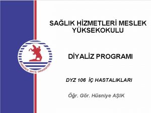 SALIK HZMETLER MESLEK YKSEKOKULU DYALZ PROGRAMI DYZ 106