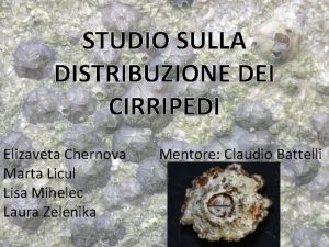 STUDIO SULLA DISTRIBUZIONE DEI CIRRIPEDI Elizaveta Chernova Marta