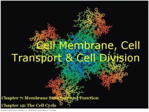 Cell Membrane Cell Transport Cell Division Chapter 7