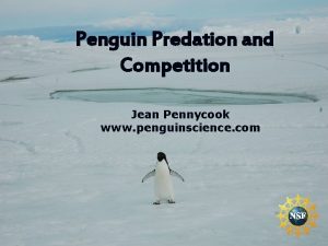 Penguin Predation and Competition Jean Pennycook www penguinscience