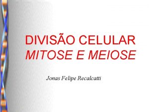 DIVISO CELULAR MITOSE E MEIOSE Jonas Felipe Recalcatti