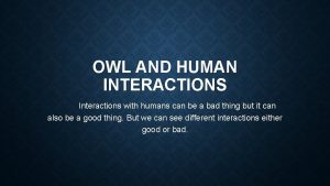 OWL AND HUMAN INTERACTIONS Interactions with humans can