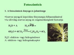 Fotoszintzis 1 A fotoszintzis lnyege s jelentsge Szerves