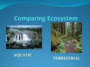 Comparing Ecosystem AQUATIC TERRESTRIAL Two Main Categories for