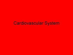 Cardiovascular System Functions Circulate blood Blood vessels carry