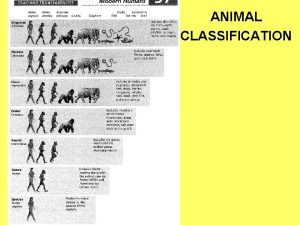 ANIMAL CLASSIFICATION I TAXONOMY identification and classification Carl