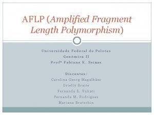 AFLP Amplified Fragment Length Polymorphism Universidade Federal de