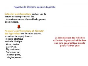 Rappel de la dmarche dans un diagnostic Collecter