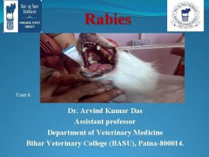 Rabies Unit 6 Dr Arvind Kumar Das Assistant