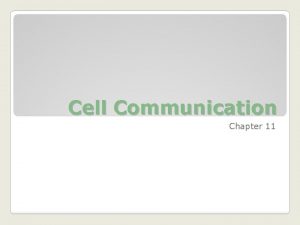 Cell Communication Chapter 11 11 1 External signals