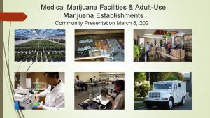 Medical Marijuana Facilities AdultUse Marijuana Establishments Community Presentation