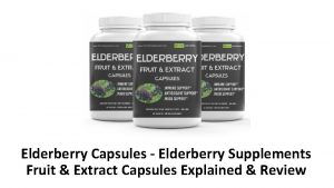 Elderberry Capsules Elderberry Supplements Fruit Extract Capsules Explained