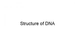 Structure of DNA Nucleotides Know that DNA contained