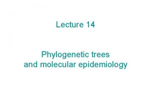 Lecture 14 Phylogenetic trees and molecular epidemiology WaveLike