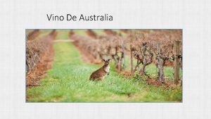 Vino De Australia HISTORIA La historia del vino