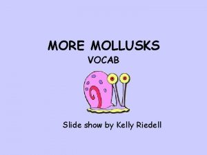MORE MOLLUSKS VOCAB Slide show by Kelly Riedell