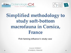 Simplified methodology to study softbottom macrofauna in Corsica