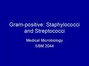 Grampositive Staphylococci and Streptococci Medical Microbiology SBM 2044