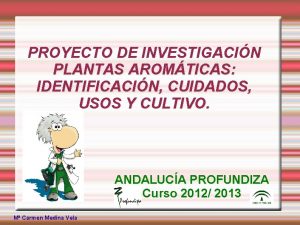 PROYECTO DE INVESTIGACIN PLANTAS AROMTICAS IDENTIFICACIN CUIDADOS USOS
