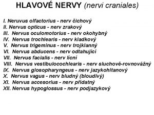 HLAVOV NERVY nervi craniales I Neruvus olfactorius nerv