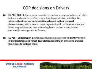 COP decisions on Drivers i COP 13 Bali
