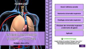 FLORIN VIU Aerul Calitatea aerului Anatomia sistemului respirator
