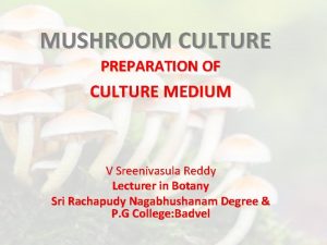 MUSHROOM CULTURE PREPARATION OF CULTURE MEDIUM V Sreenivasula