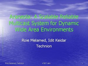 Araneola A Scalable Reliable Multicast System for Dynamic