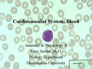 Cardiovascular System Blood Anatomy Physiology II Tony Serino