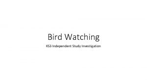 Bird Watching KS 3 Independent Study Investigation How