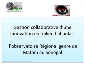 VEILLE ALERTE Observatoire SENSIBILITE GENRE Gestion collaborative dune