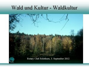 Wald und Kultur Waldkultur Rotary Club Solothurn 3