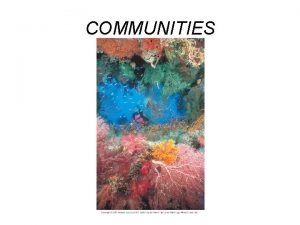 COMMUNITIES Key Properties of Communities Diversity Species richness