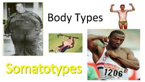 Body Types Somatotypes Body Type There are three