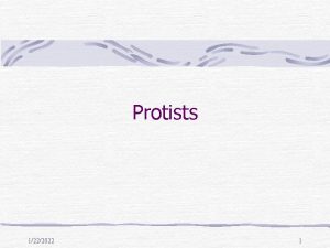 Protists 1222022 1 Protista Kingdom Unicellular and Multicellular