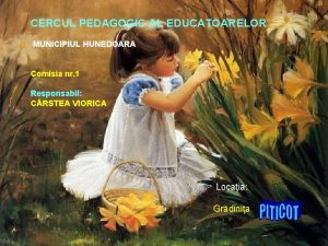 CERCUL PEDAGOGIC AL EDUCATOARELOR MUNICIPIUL HUNEDOARA Comisia nr