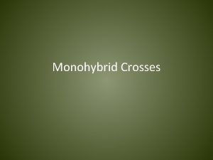 Monohybrid Crosses Gregor Mendel Austrian monk who started